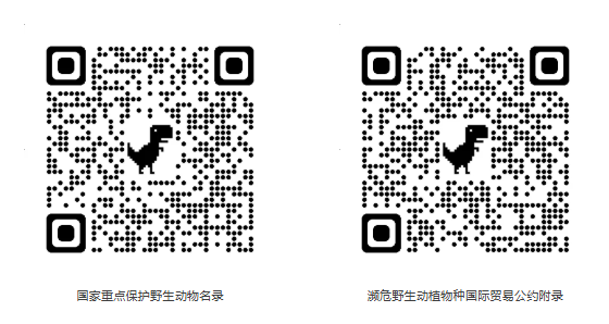 1785202670533830.png 3.png